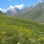 chandratal road spiti inrahi films