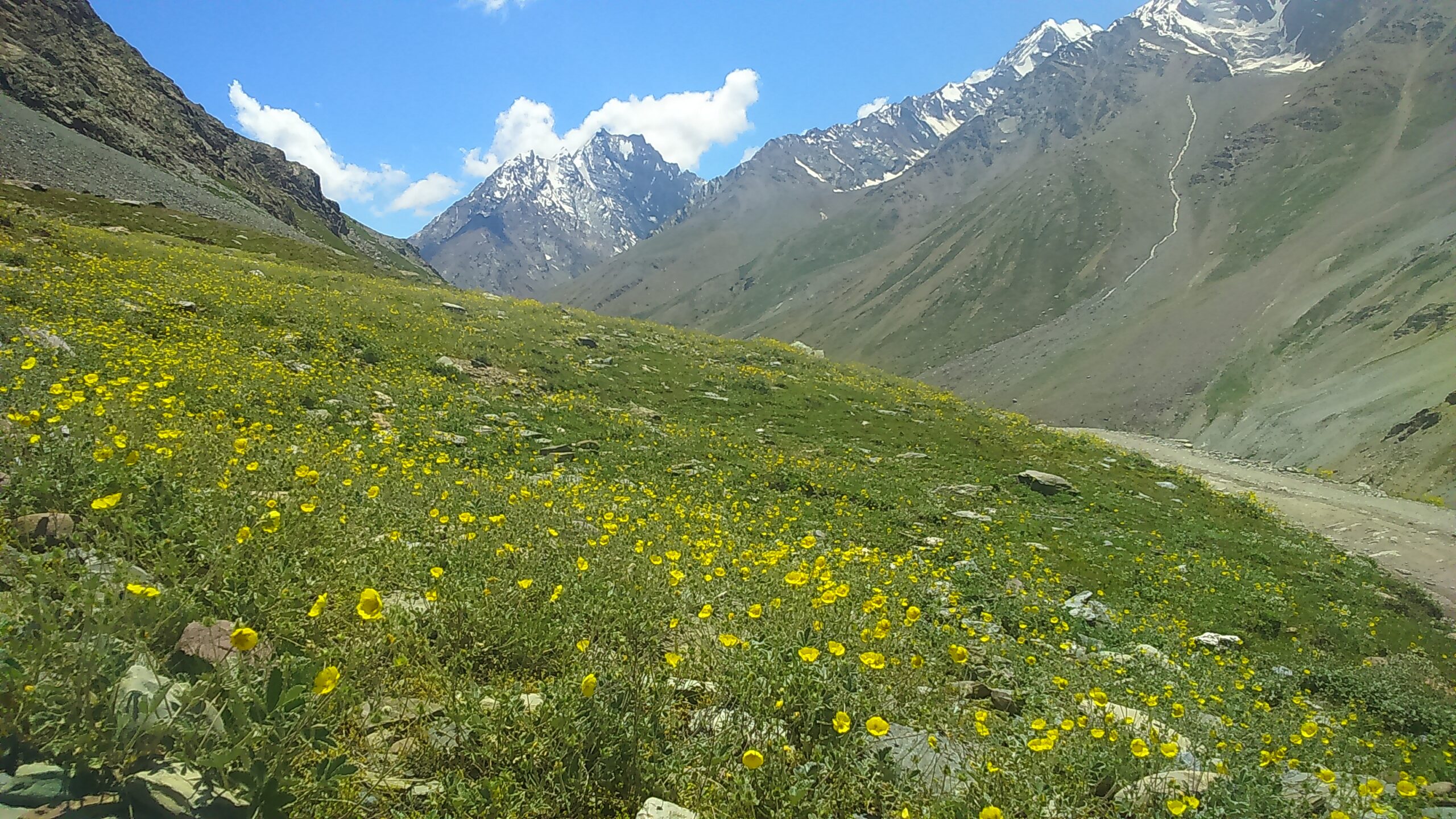 chandratal road spiti inrahi films