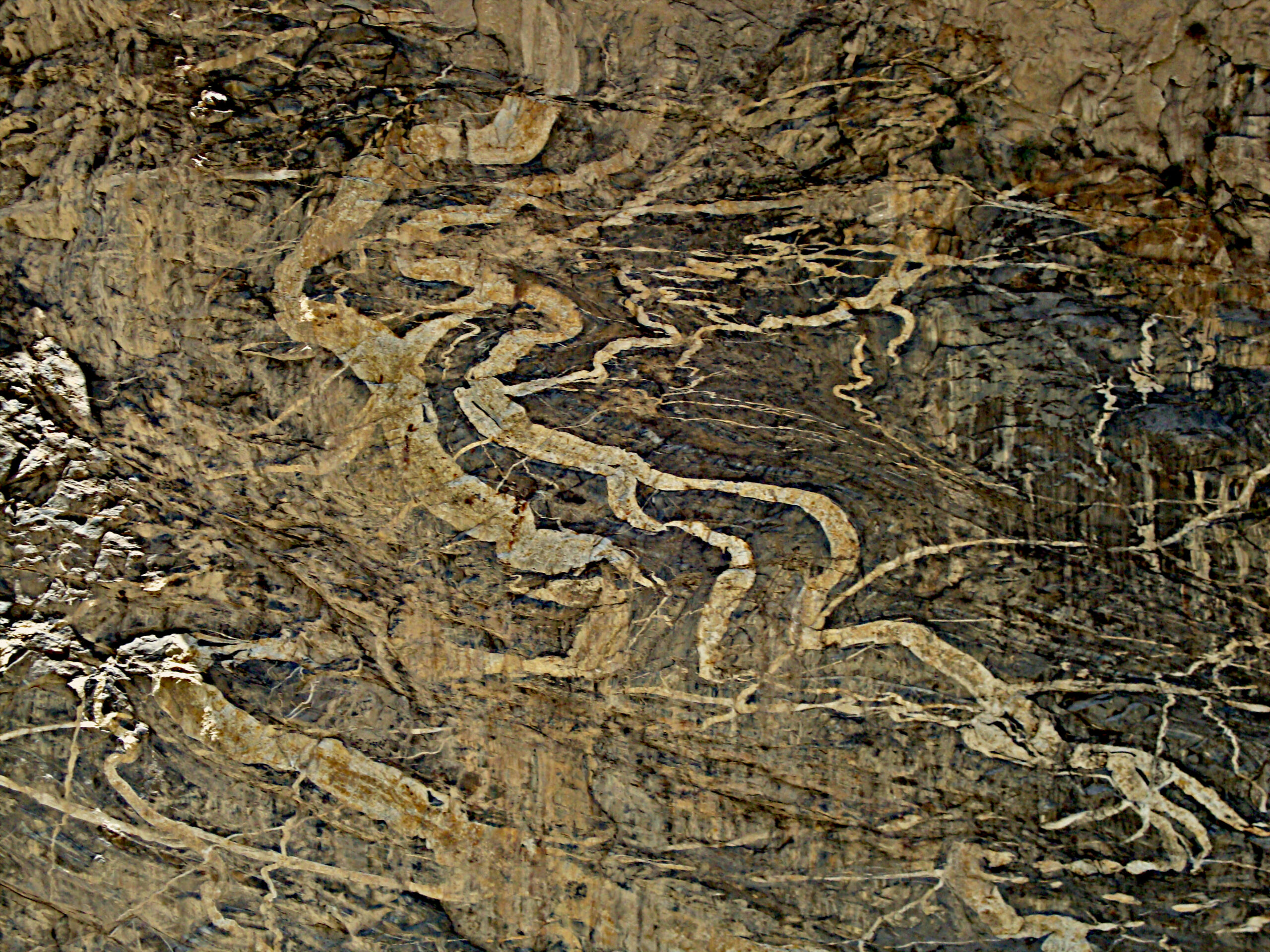 dragons etched on the rocks at khab upper kinnaur corridor