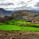 fields of hikkim spiti inrahi films