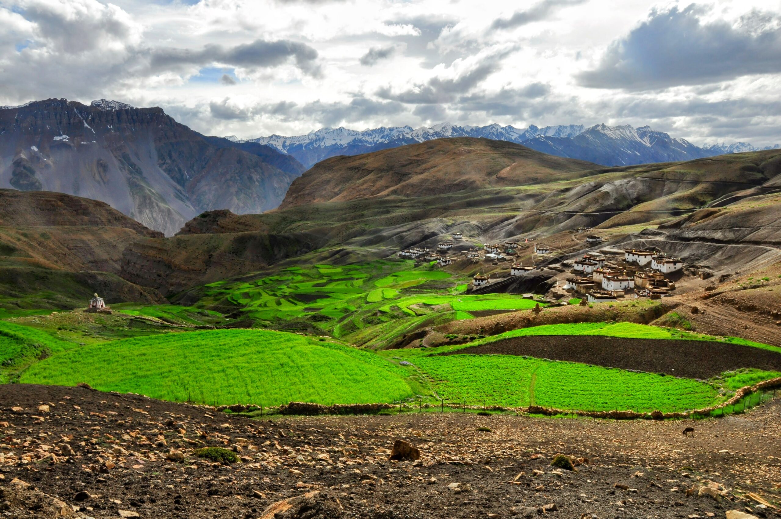 fields of hikkim spiti inrahi films
