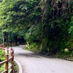 forest road lovers lane shimla