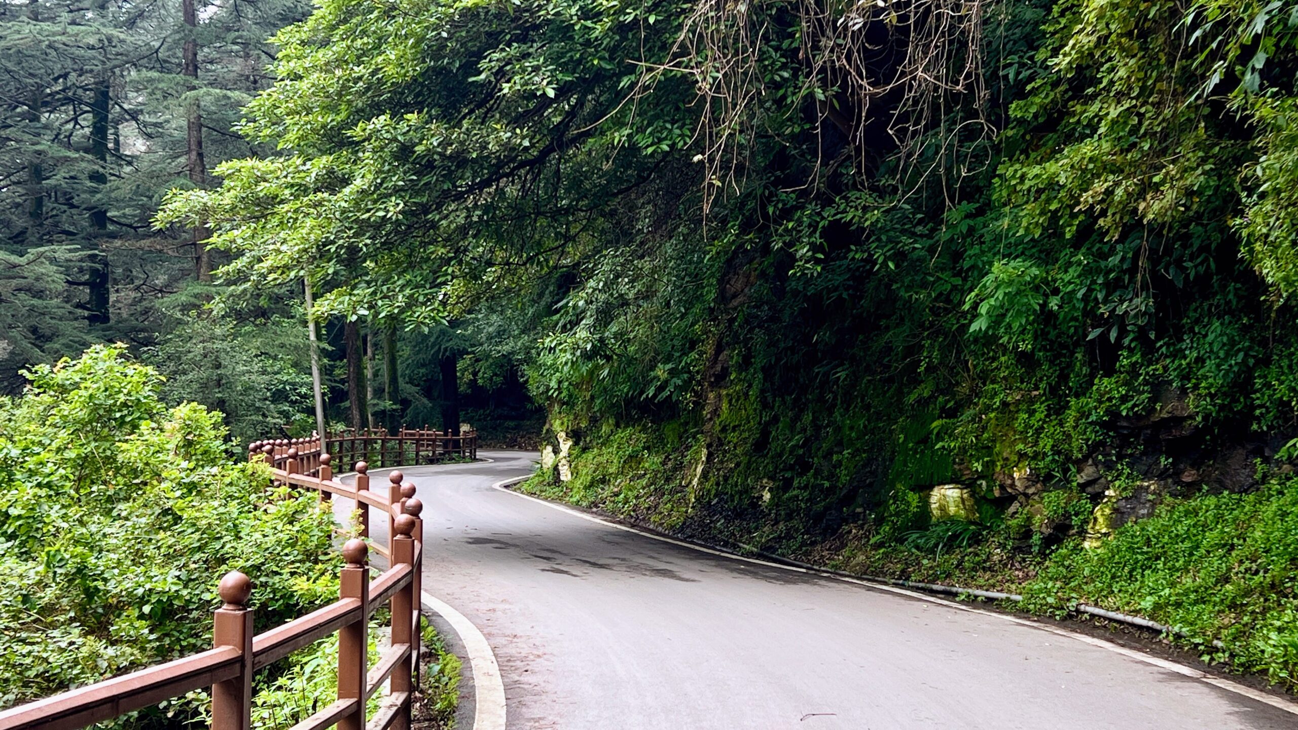 forest road lovers lane shimla