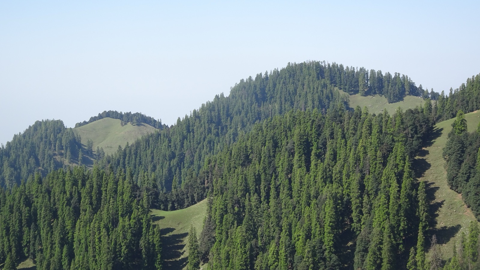forests of jalori inrahi films