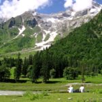 kafnu to bhabha pass