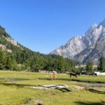 rackcham meadows in summer sangla valley kinnaur corridor