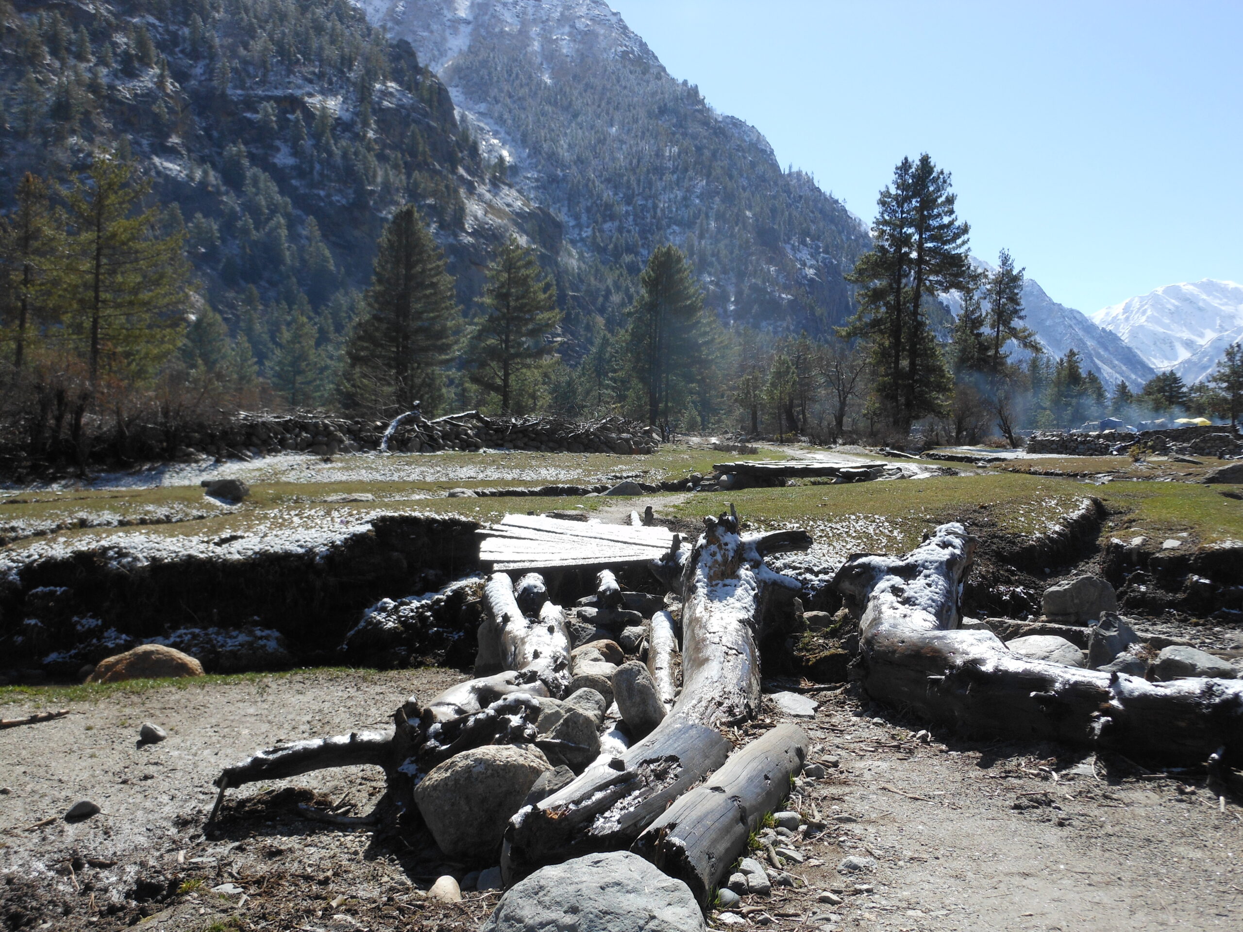 rakcham meadows at the baspa river side sangla valley kinnaur corridor