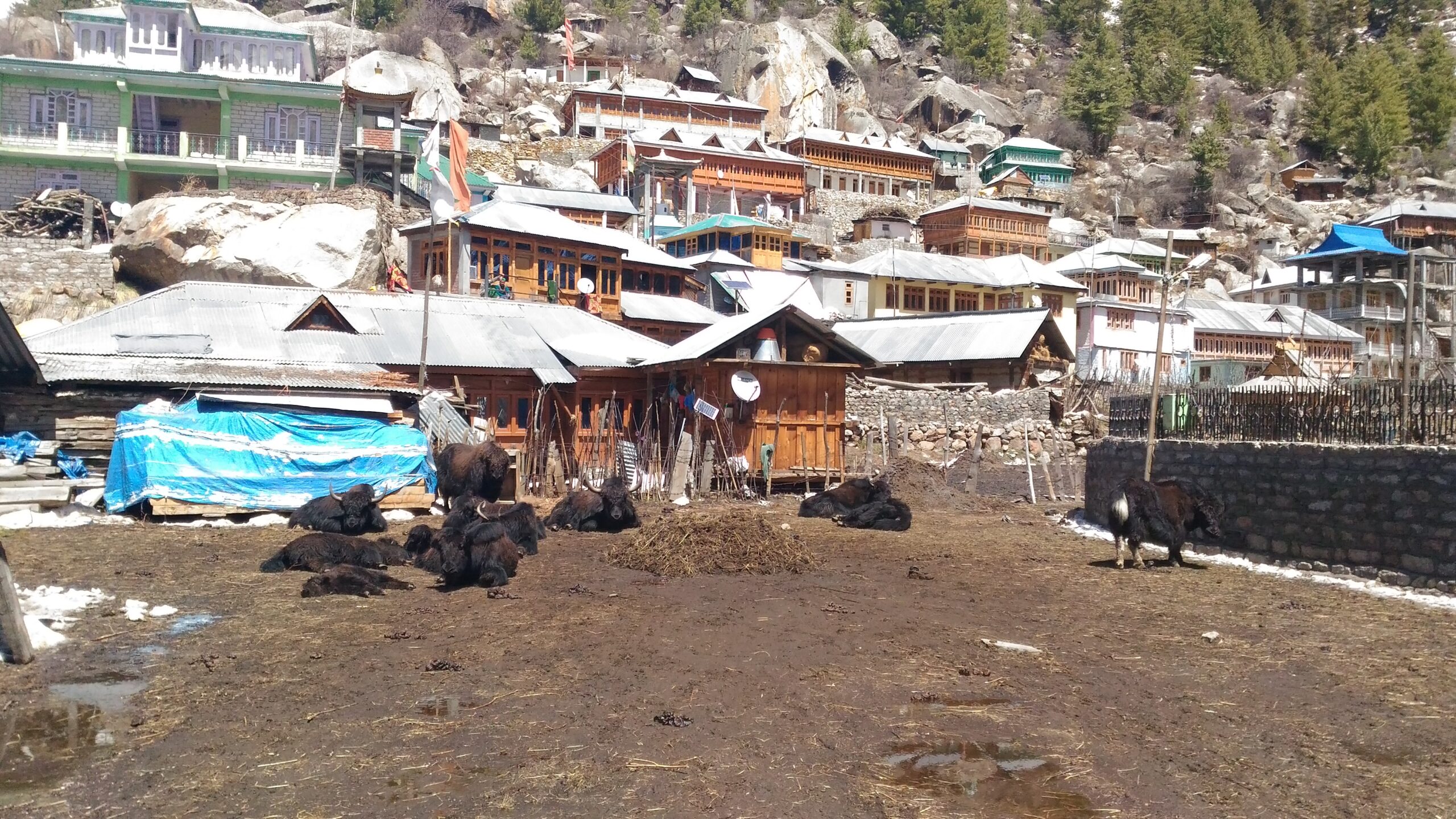 rakcham village sangla valley kinnaur corridor