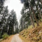 road to sarchi inrahi films