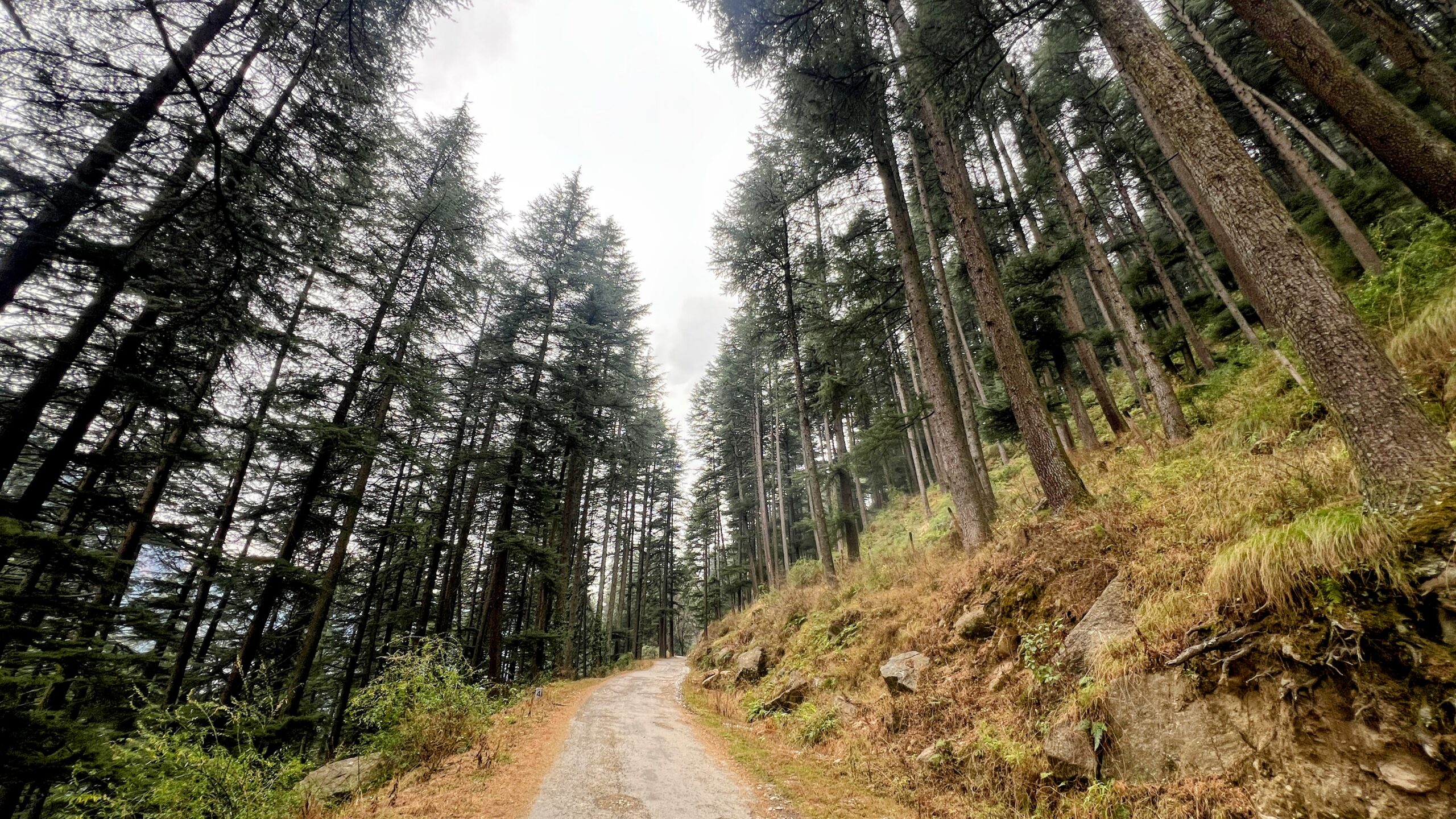 road to sarchi inrahi films