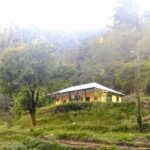 shikari devi single house in forest