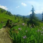 shoja hikes inrahi films