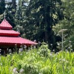 temple spire shoja inrahi films