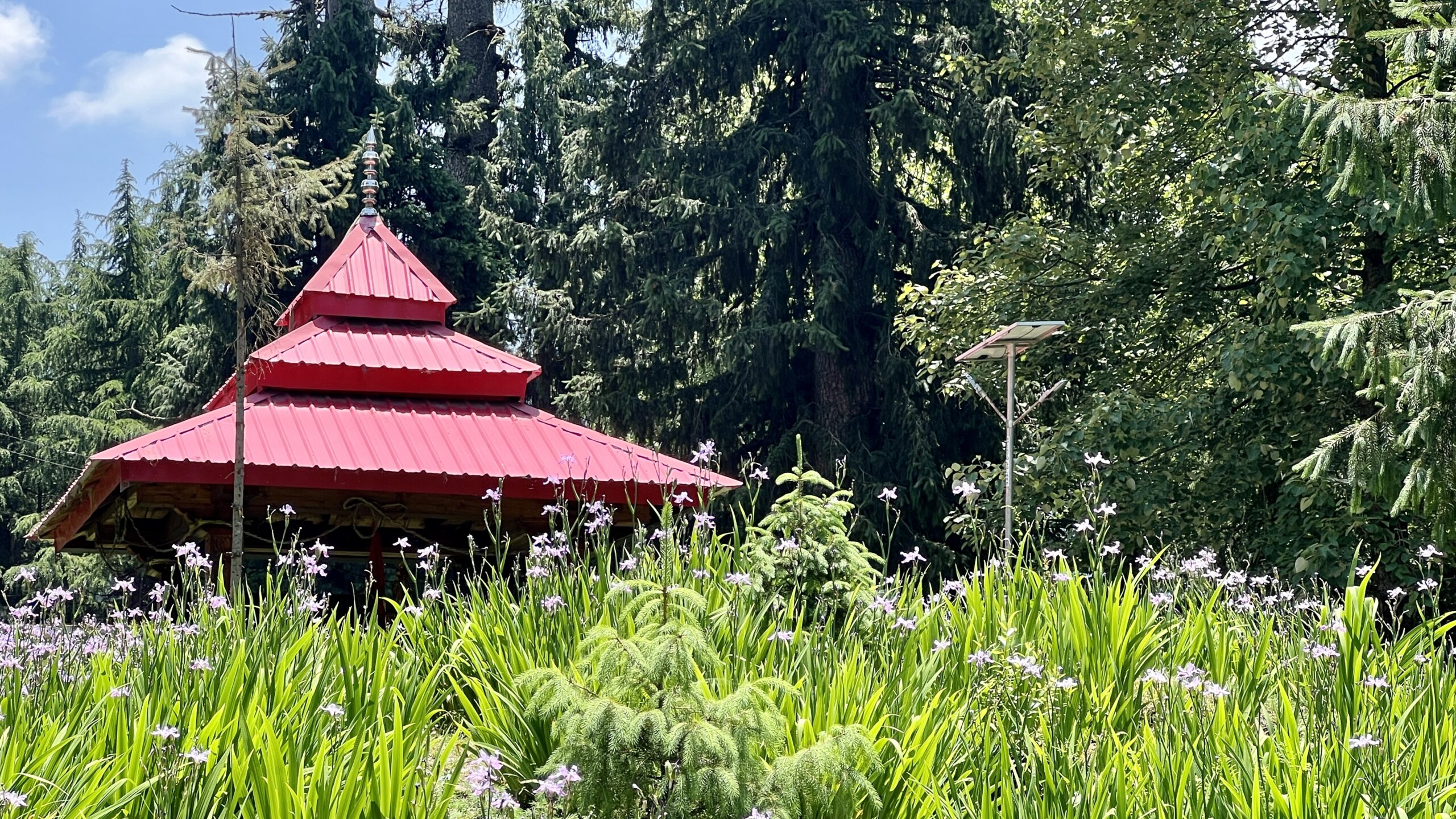 temple spire shoja inrahi films
