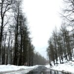 welcome to lahaul in snow and trees inrahi films