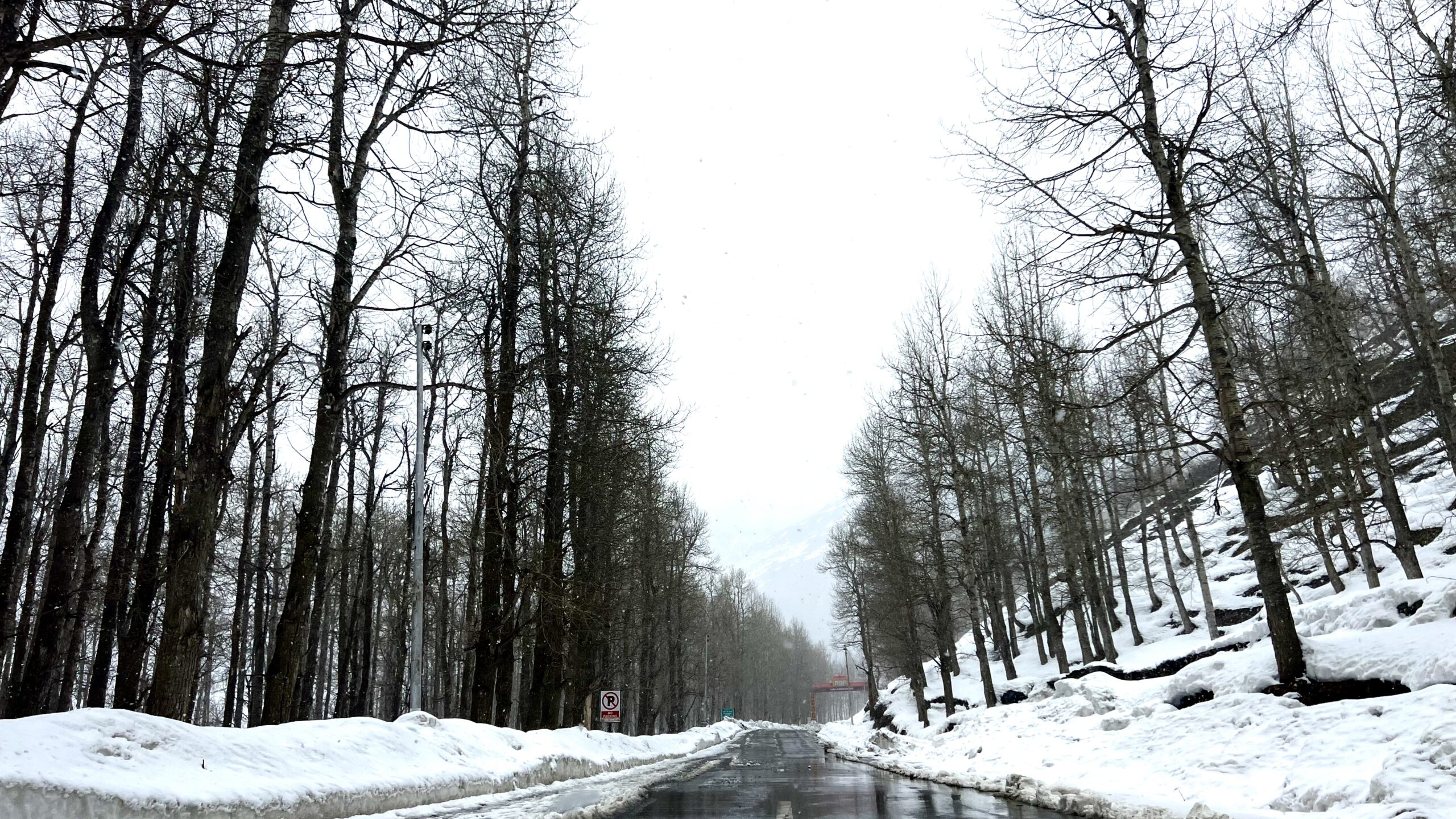 welcome to lahaul in snow and trees inrahi films